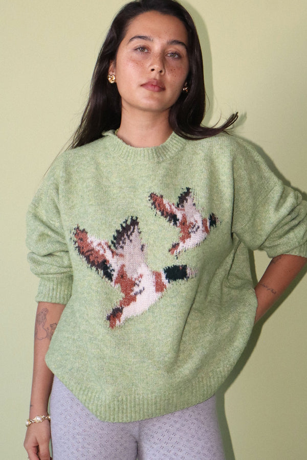 Flying Ducks Knit Sweater