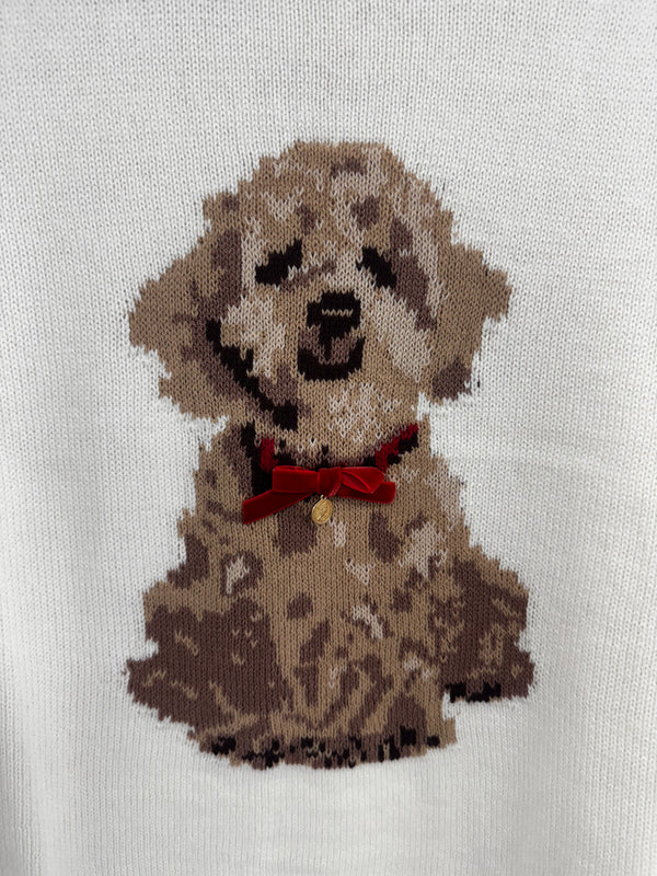 A Girl's Best Friend Dog Sweater