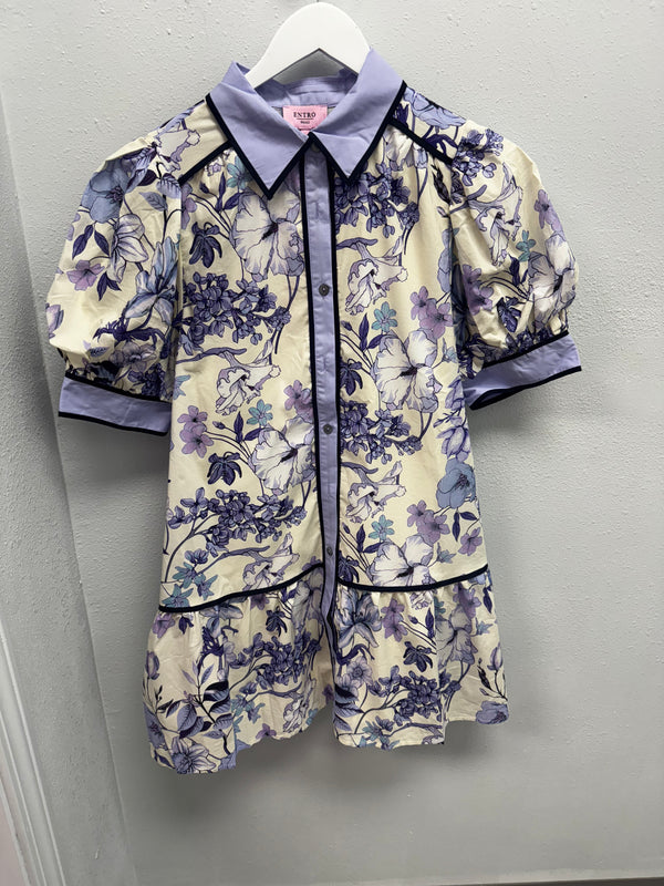 Petals and Periwinkle Dress