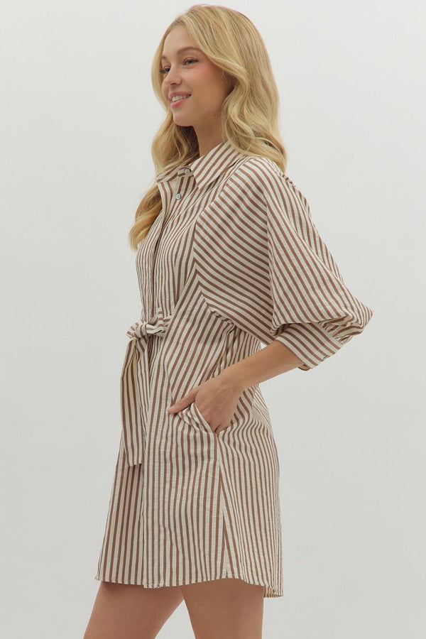 Lifted Spirits Brown Stripe Dress
