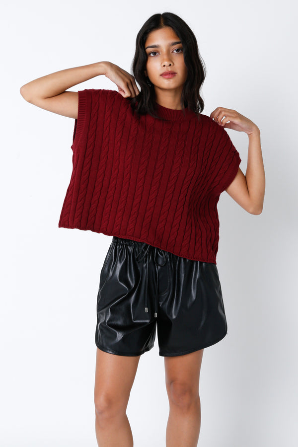 In Perfect Company Short Sleeve Sweater