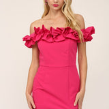 Off the Shoulder Mini Dress