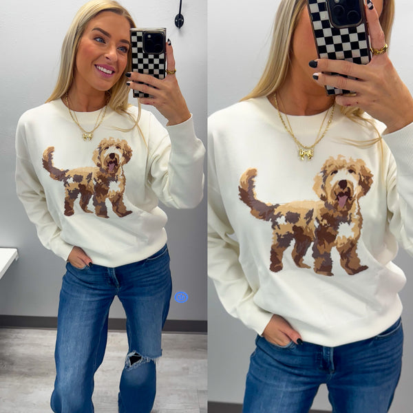 Oddles and Doodles Long Sleeve Dog Sweater