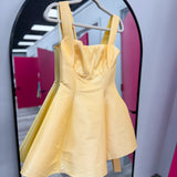 For the Moment Skater Mini Dress | Butter