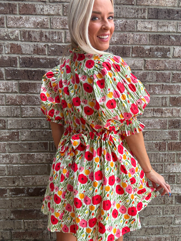 In A Spring Field Dress