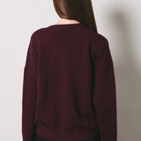 Autumn Puppy Graphic Oversized Crew Neck Sweater