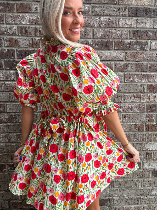 In A Spring Field Dress