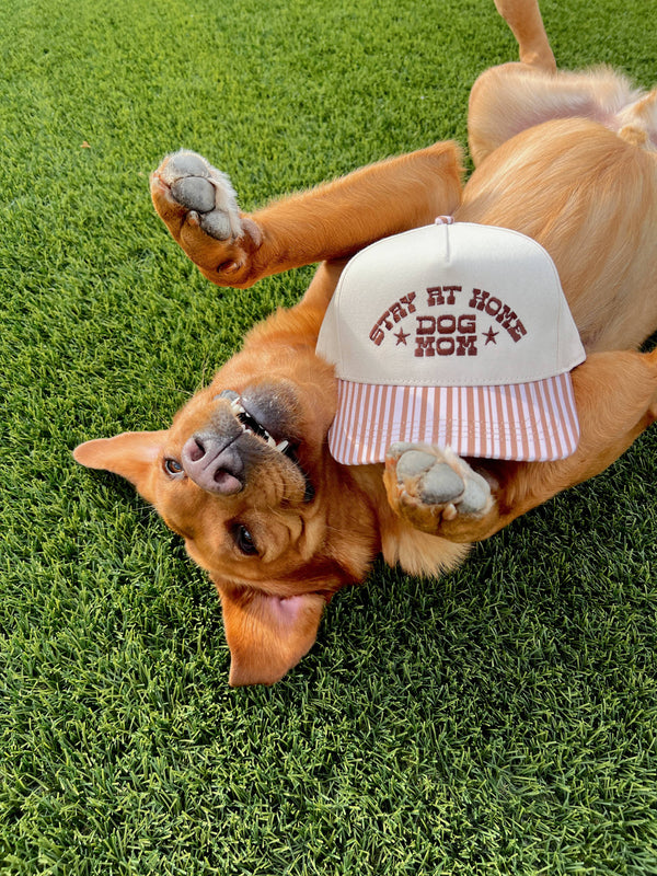 Stay At Home Dog Mom- Brown Striped Hat