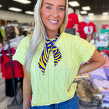 Geaux Tigers Reversible Hair Scarf