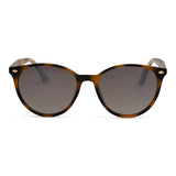 DAX Eyewear | Asher Shell
