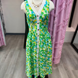 Vibrant View Dress