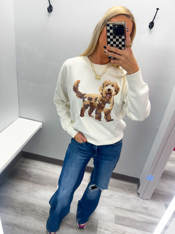 Oddles and Doodles Long Sleeve Dog Sweater