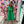 Planning Trips Dress - Green