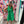 Planning Trips Dress - Green