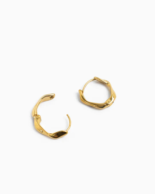 Stainless Organic Shaped Hoop Earrings