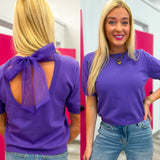 Mesh Bow Short Sleeve Sweater Top