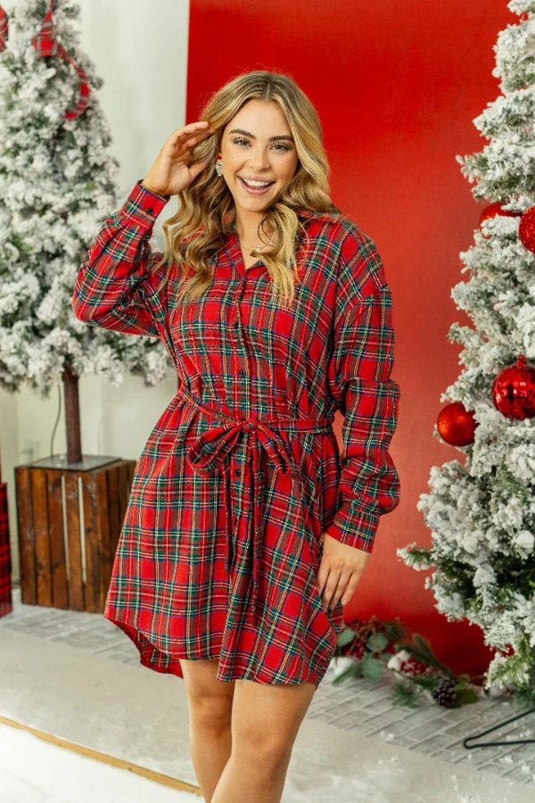 Feeling the Season Flannel Dress | Regular and Plus size
