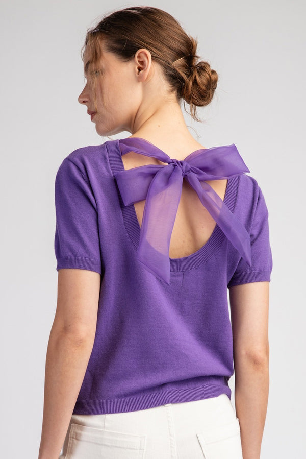 Mesh Bow Short Sleeve Sweater Top