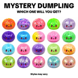 BLIND BOX Squishy Steamer Dumpling VIRAL