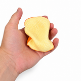 Crunchy Toast Squishy
