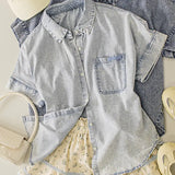 Easy Choice Denim Button Down