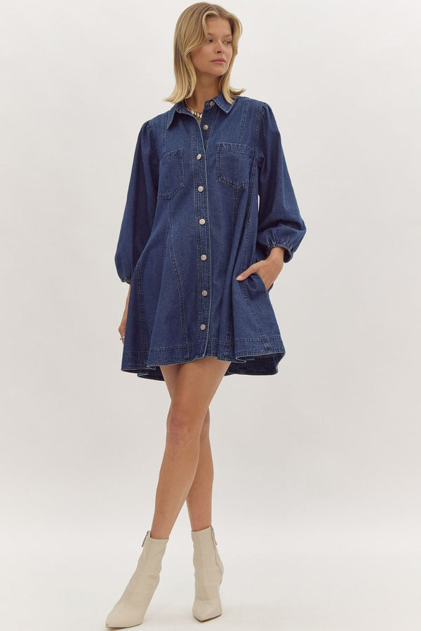 World Could Be Ours Denim Dress