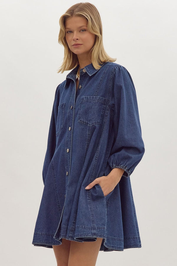 World Could Be Ours Denim Dress