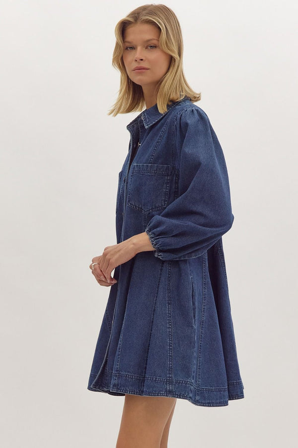 World Could Be Ours Denim Dress