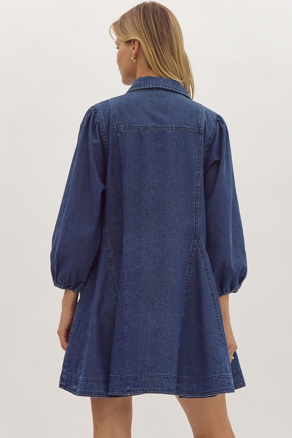 World Could Be Ours Denim Dress