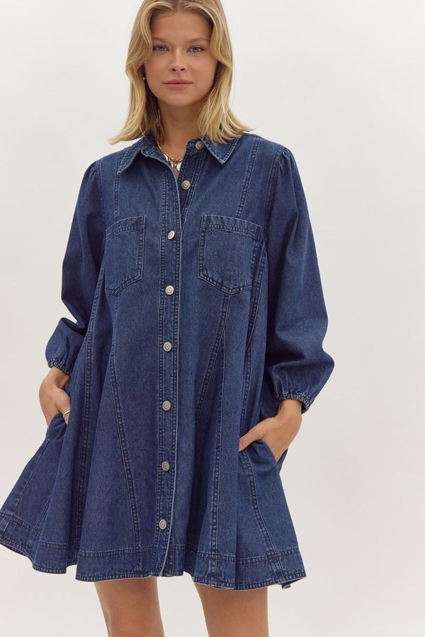 World Could Be Ours Denim Dress