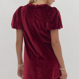 True Elegance Velvet Braid Dress