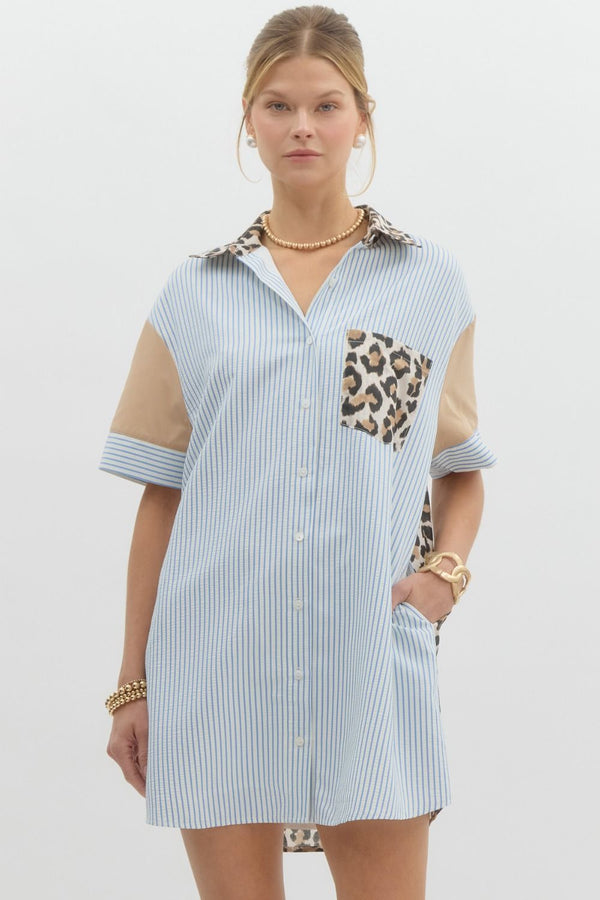 Stripe Leopard Dress