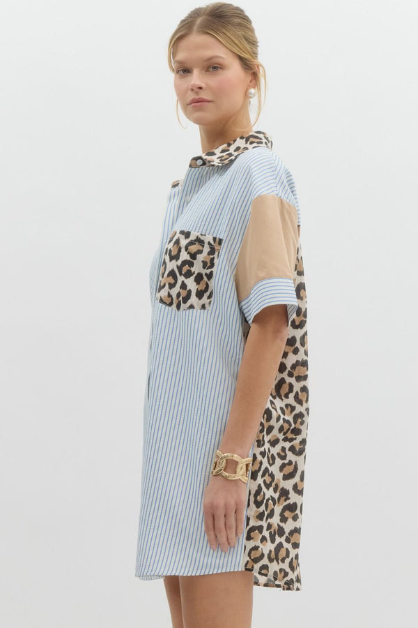 Stripe Leopard Dress