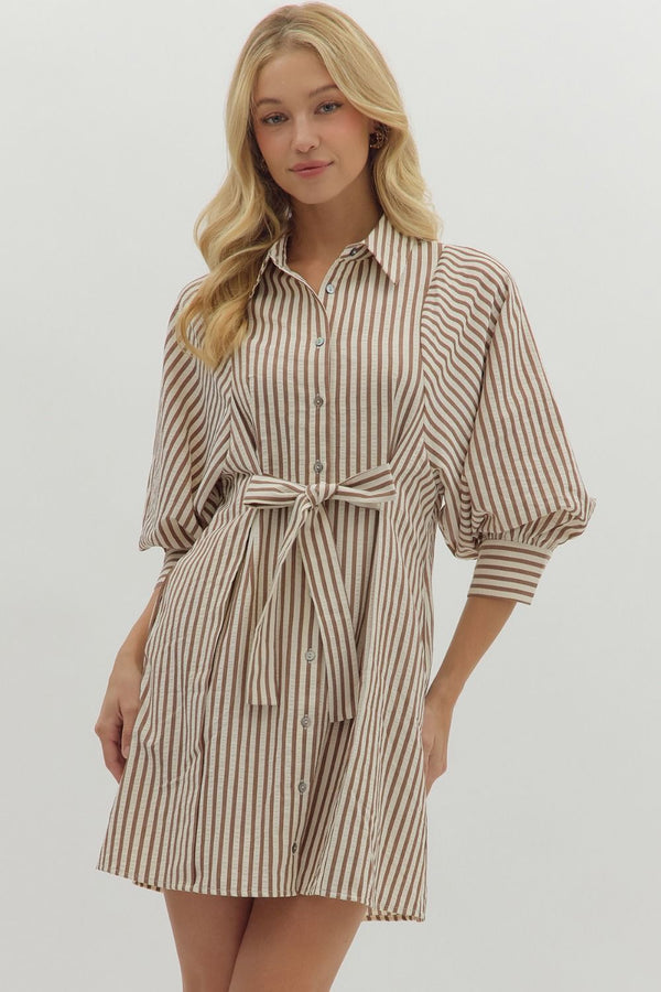 Lifted Spirits Brown Stripe Dress