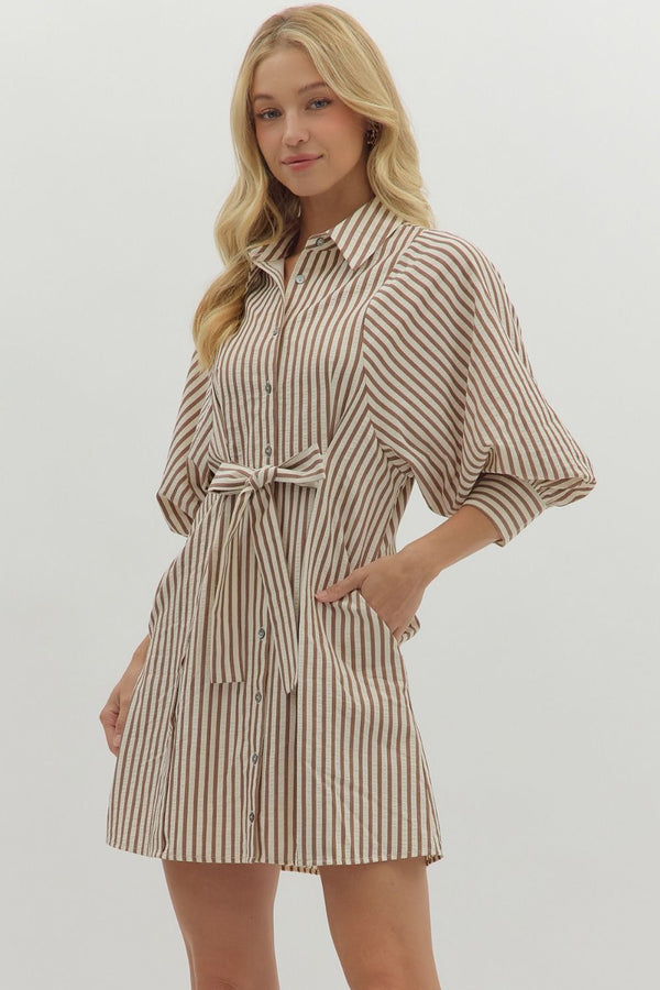 Lifted Spirits Brown Stripe Dress