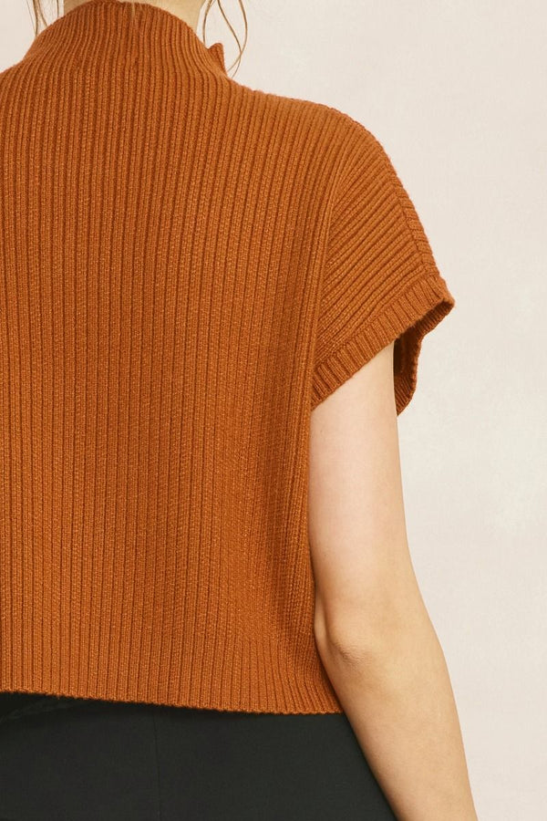 Fall In Love Cropped Sweater Top - Rust