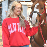 LULU MAC Pink Gingham on Red Sweatshirt | LULU MAC